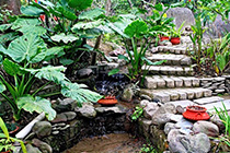 [ photo: 188-067 Water, Stones & Foliage at Norling Guest House ]