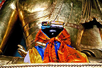 [ photo: 189-075 New Year Offerings on Norling Buddha’s Hand ]