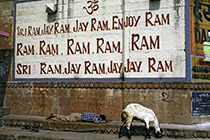 [ photo: 196-098 Om Sri Ram, Jay Ram, Enjoy Ram ]