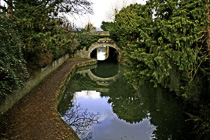 [ photo: Arched Bridge Sky and Trees Reflected in Kennet & Avon Canal, Bath, UK, Dec 2005 (img 105-067) ]