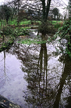 [ photo: Reflections at Springhead 1, Springhead Retreat Centre, Fontmell Magna, Dorset, UK, January 2004 (img NC-0390-09) ]