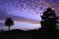 [ photo: Dawn Over San Bruno, California,  January 2006 (img-110-01) ]